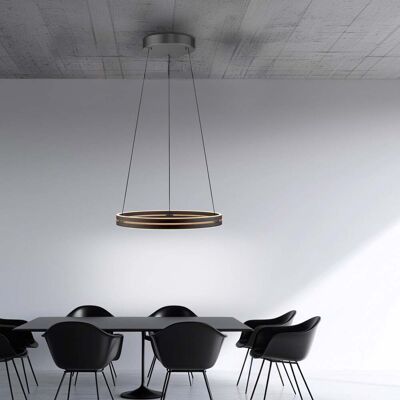 Paul Neuhaus 2551-18 PURE E-Loop Lampe suspendue LED - Lampe suspendue - Publicité Paul Neuhaus 2551-18 PURE E-Loop Lampe suspendue LED - Lampe suspendue - Publicité