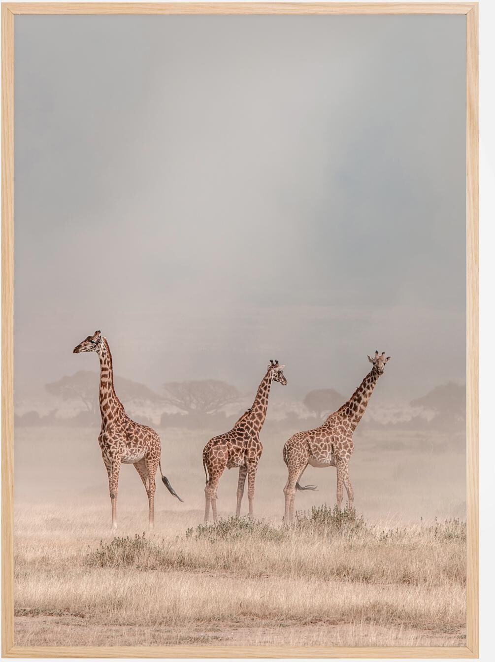 Bildverkstad Weathering The Amboseli Dust Devils Poster (30x40 cm)