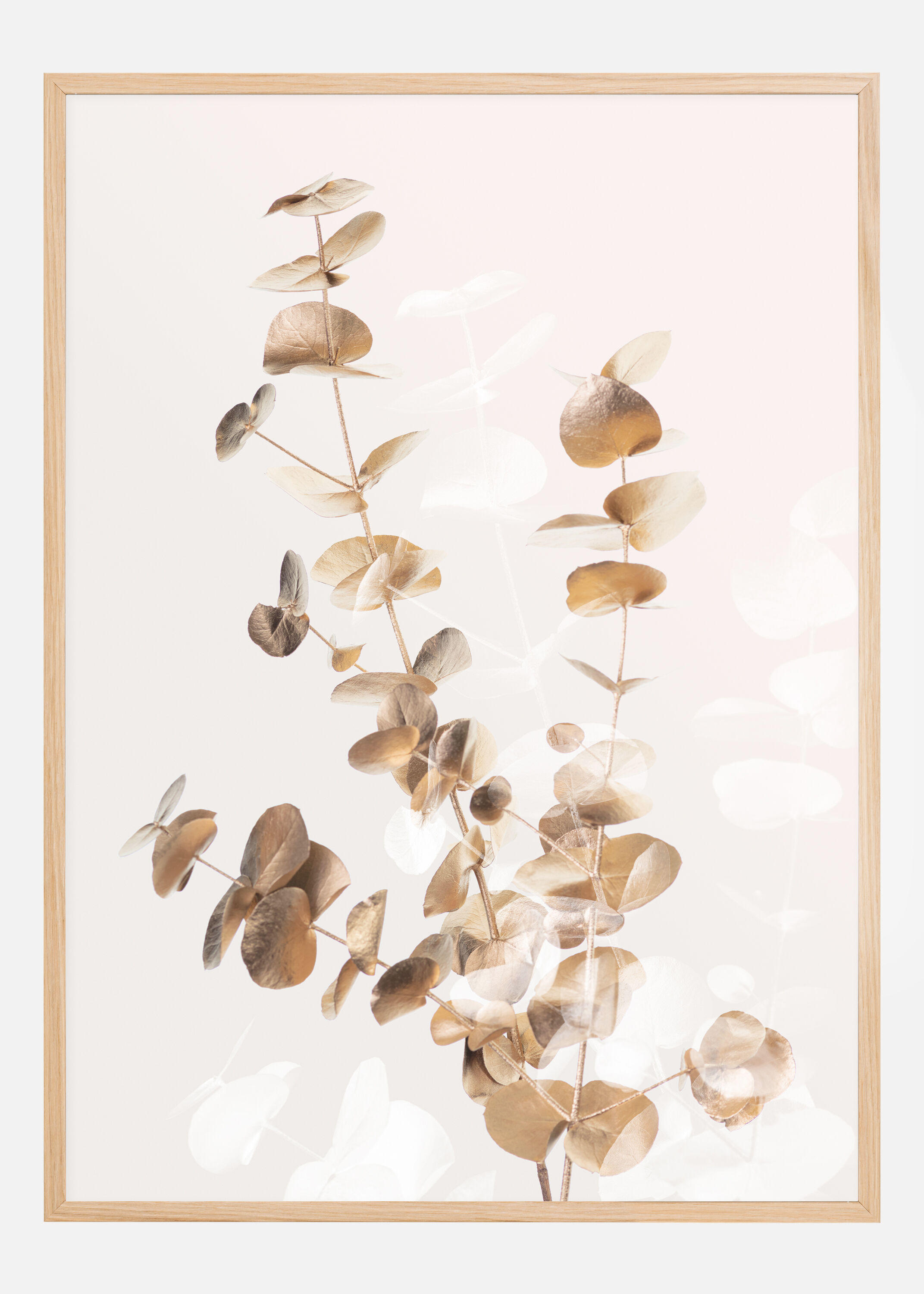 Bildverkstad Eucalyptus Creative Gold II Poster (30x40 cm)