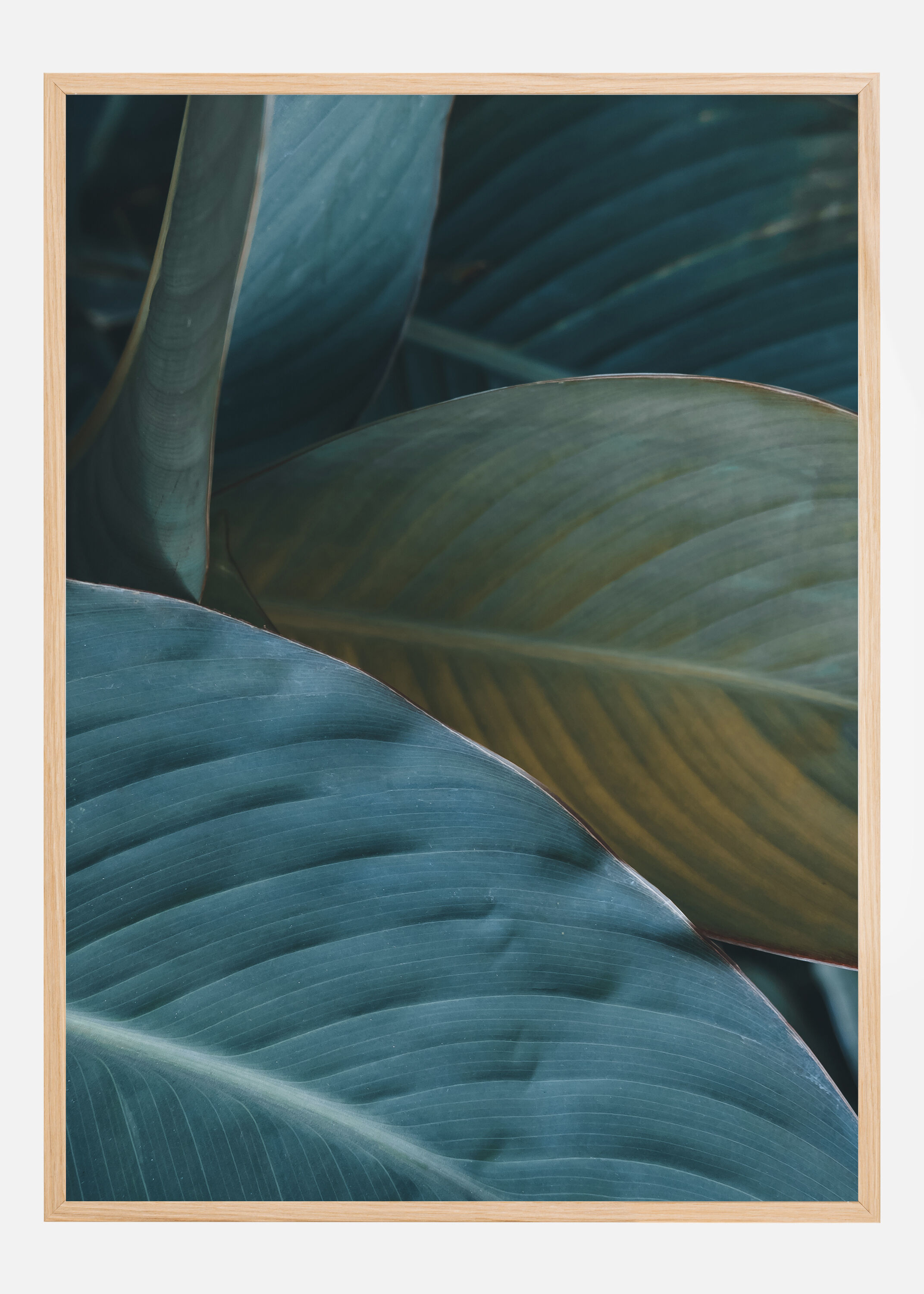 Bildverkstad Leaf Close-Up Poster (30x40 cm)
