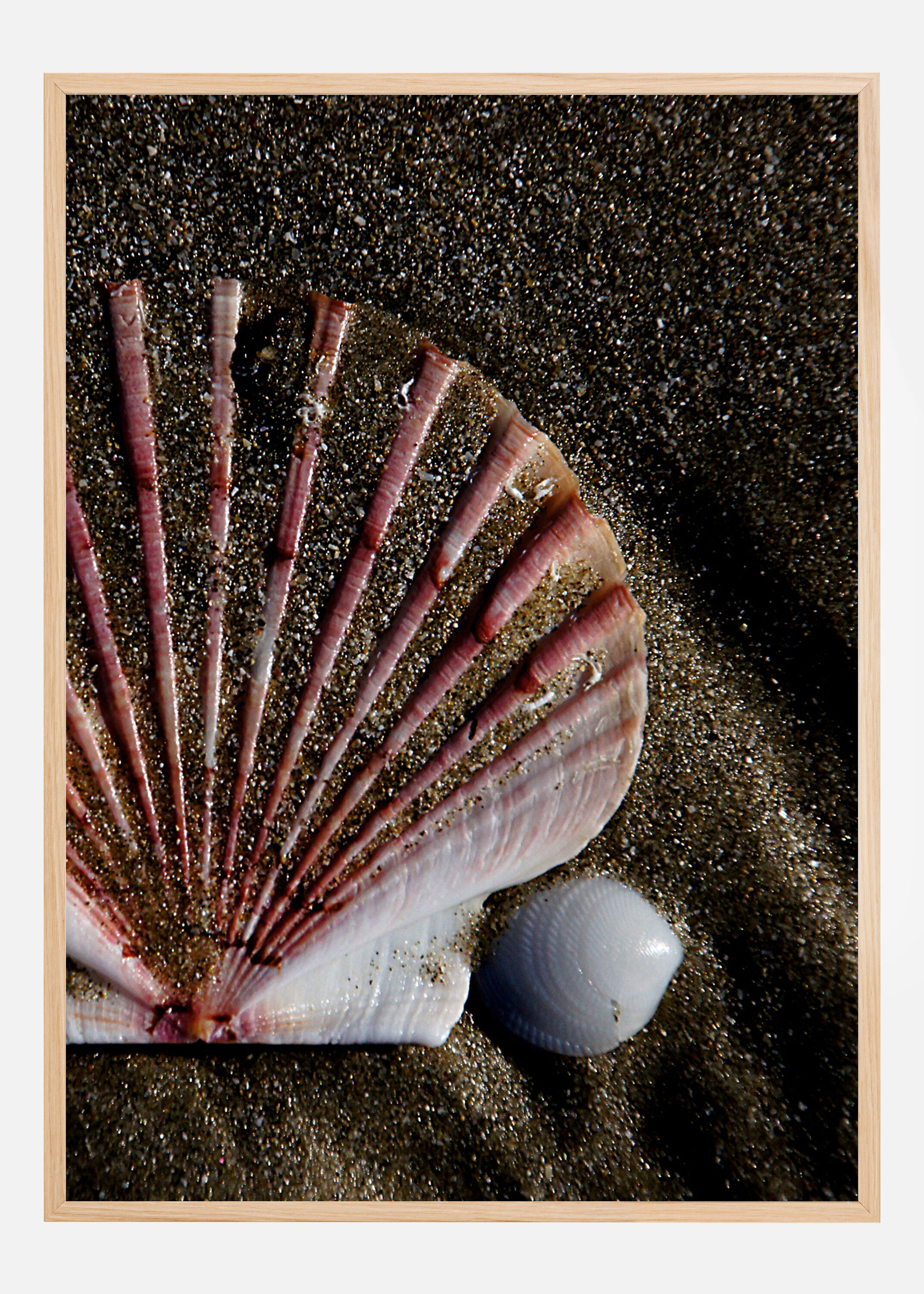 Bildverkstad Shell Poster (21x29.7 cm (A4))