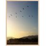 Bildverkstad Goodbye Birds Poster (70x100 cm)