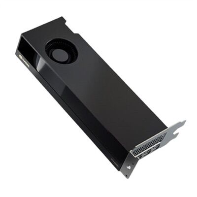 Placă grafică Dell NVIDIA RTX A2000 înălțime completă, 12 GB 4 x adaptor mDP la DP (Precision 7920R, 7920T, 7820, 5820, 3650, R3930) (Kit)