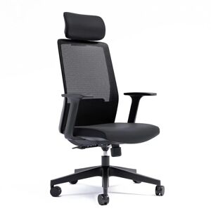 Direkt Interiör Chaise de bureau Ergo 318, Couleur Coque noire et tissu noir, Appui-tete Oui