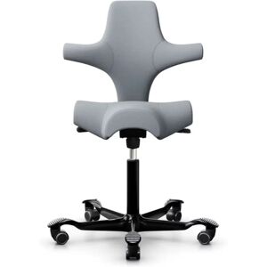 HÅG Capisco 8106 - Chaise ergonomique, Couleur Gris clair (SC60139), Pietement  Noir, Verin 265 mm, Repose-pieds Sans