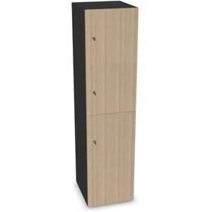 Narbutas Meuble casiers Choice - 2 petites portes, 1 grande porte, Couleur Dark Grey / Sand Ash