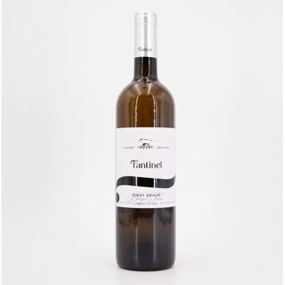 Fantinel blanc pinot grigio 750 ml Mixte FANTINEL - Publicité Fantinel blanc pinot grigio 750 ml Mixte FANTINEL - Publicité