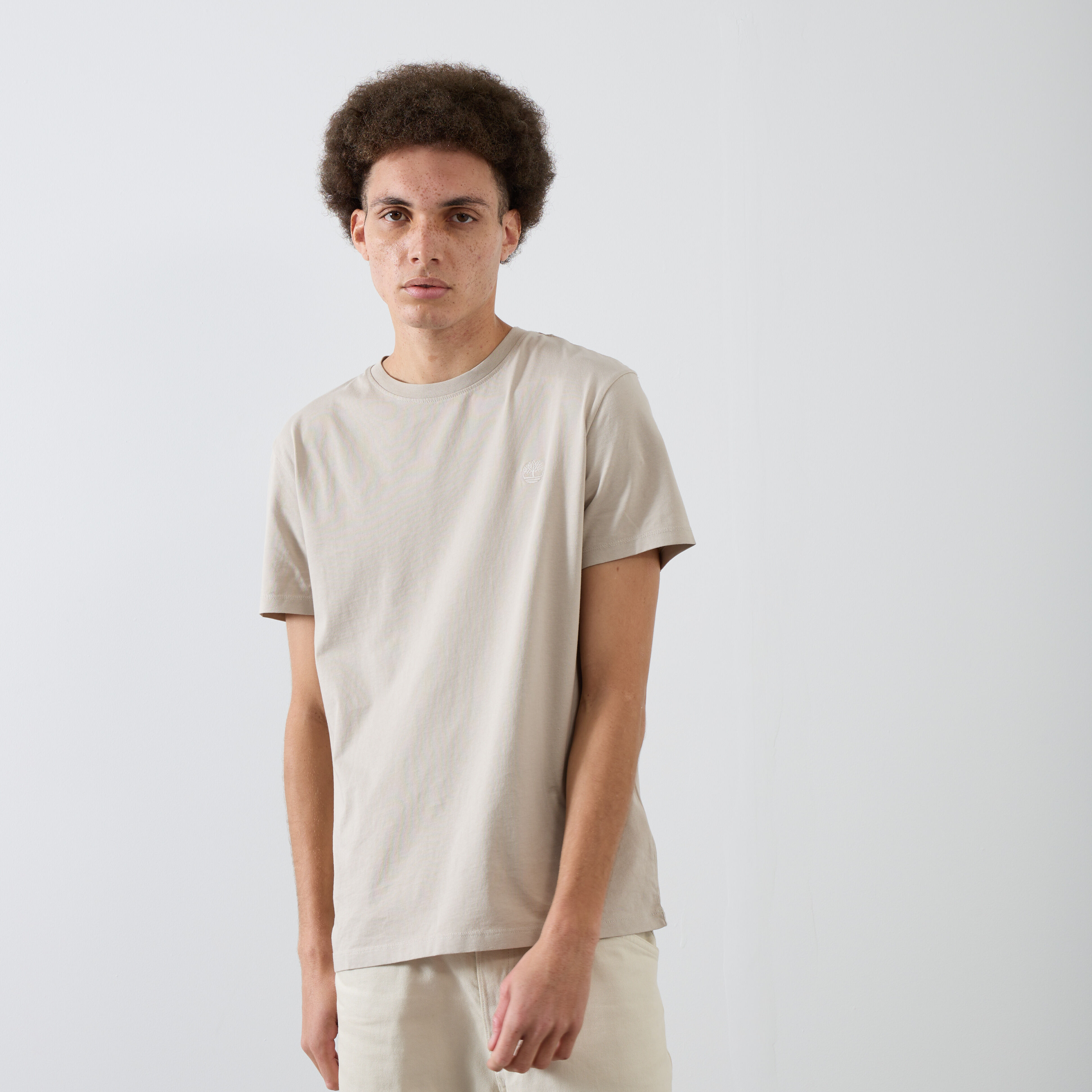 Timberland Tee Shirt River Small Logo beige m homme