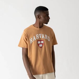 Us College Tee Shirt Harvard caramel xs homme