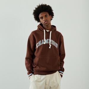 Champion Hoodie Big Logo Bookstore marron/bleu s homme