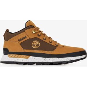 Timberland Field Trekker Low mielmarron 44 homme