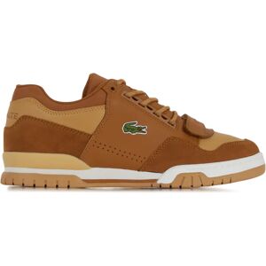 Lacoste Missouri Tan marron/beige 41 homme