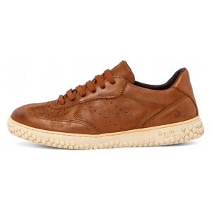 ART unisex. 116271223003_023 Baskets en cuir 1627 Edmonton marron (41), Plat, Lacets, Casuel - Publicité ART unisex. 116271223003_023 Baskets en cuir 1627 Edmonton marron (41), Plat, Lacets, Casuel - Publicité
