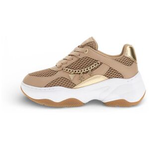 Guess pour femme. FLPHARELE12 Baskets Harpaa marron (41), Plat, Lacets, Casuel - Publicité Guess pour femme. FLPHARELE12 Baskets Harpaa marron (41), Plat, Lacets, Casuel - Publicité