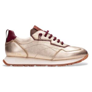 Hispanitas pour femme. CHI254312 Baskets en cuir Kansas Bolmet gold (38), Doré, Plat, 1 à 3 cm, Lacets, Casuel - Publicité Hispanitas pour femme. CHI254312 Baskets en cuir Kansas Bolmet gold (38), Doré, Plat, 1 à 3 cm, Lacets, Casuel - Publicité