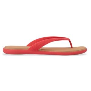 Reef pour femme. CJ8643 Water Willow Malibu Red Sandals (38.5), Rouge, Plat, Aucun, Casuel, Beachwear, Corail - Publicité Reef pour femme. CJ8643 Water Willow Malibu Red Sandals (38.5), Rouge, Plat, Aucun, Casuel, Beachwear, Corail - Publicité