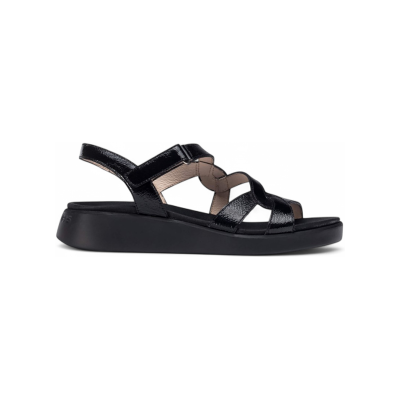 Wonders pour femme. C-6541_2024_5792 Sandales en cuir noir Cordelia (36), 1 à 3 cm, Velcro, Casuel - Publicité Wonders pour femme. C-6541_2024_5792 Sandales en cuir noir Cordelia (36), 1 à 3 cm, Velcro, Casuel - Publicité