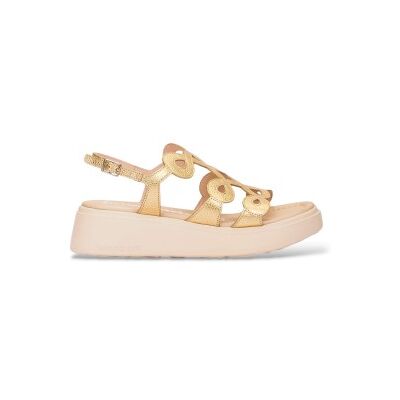 Wonders pour femme. A-4503 Sandales en cuir Golden Infinity Flow (36), Doré, 3 à 5 cm, Boucle, Casuel - Publicité Wonders pour femme. A-4503 Sandales en cuir Golden Infinity Flow (36), Doré, 3 à 5 cm, Boucle, Casuel - Publicité