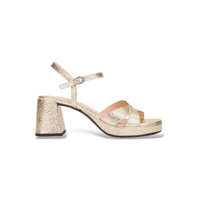 Wonders pour femme. G-6820 Sandales en cuir doré Zaida20 (36), 5 à 8 cm, Boucle, Casuel, Fête - Publicité Wonders pour femme. G-6820 Sandales en cuir doré Zaida20 (36), 5 à 8 cm, Boucle, Casuel, Fête - Publicité
