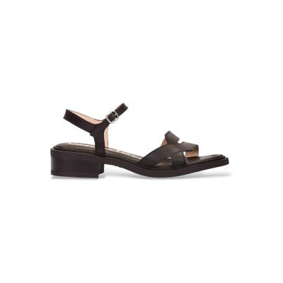 Wonders pour femme. B-9610 Sandales Tokat noires (41), Cuir, 1 à 3 cm, Boucle, Casuel - Publicité Wonders pour femme. B-9610 Sandales Tokat noires (41), Cuir, 1 à 3 cm, Boucle, Casuel - Publicité