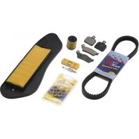 Kit entretien C4 Yamaha Xmax 125 06-09