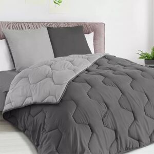 IDMarket Pack couette oreiller 220x240 cm bicolore gris clair et foncé