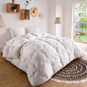 IDMarket Couette blanche microfibre + 2 oreillers 220x240 cm