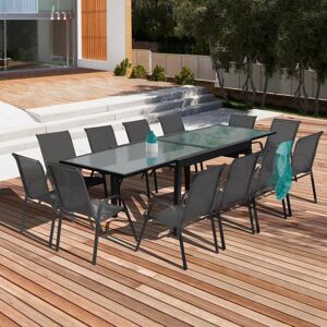 IDMarket Table de jardin extensible 12 places grise avec chaises