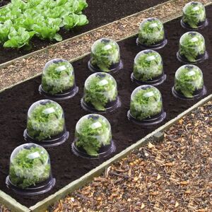 IDMarket Cloches pour plants de salade X12