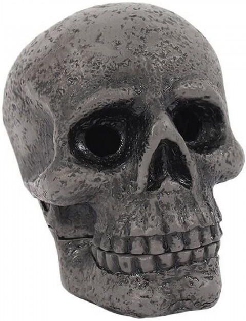 Cabinet Of Curiosities Skull Incense Cone Holder