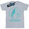 DC Comics Mens Aquaman Aqua Logo T-Shirt