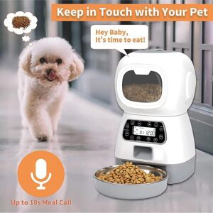 Fournitures pour animaux de compagnie automatique USB distributeur de nourriture Intelligent chat chien minuterie Programmable vocale bol en acier inoxydable chien chat mangeoire pour animal domestique mangeoire Windows - Publicité