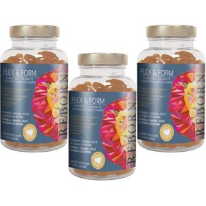 Reborn Cure 3 mois confort articulaire Reborn 3x150g