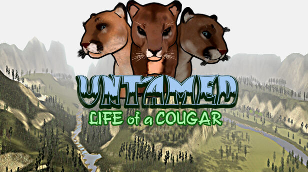 Strategy First Untamed Life Of A Cougar