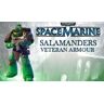 SEGA Warhammer 40,000 : Space Marine - Salamanders Veteran Armour Set DLC