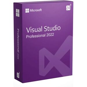 Microsoft Visual Studio 2022 Professional