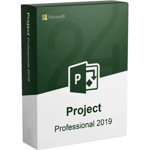 Microsoft Project 2019 Professionnel