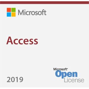 Microsoft Access 2019