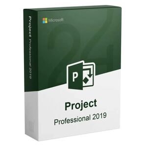 Microsoft Project 2019 Professionnel