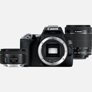 Canon EOSÂ 250D, noir + objectif EF-S 18-55mm f/4-5.6 IS STM + objectif EF 50mm f/1.8 STM - Publicité