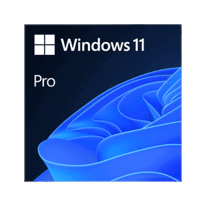 Microsoft Windows 11 Professionnel