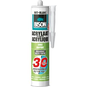 Bison mastic acrylique 30 minutes tube de 300 ml blanc