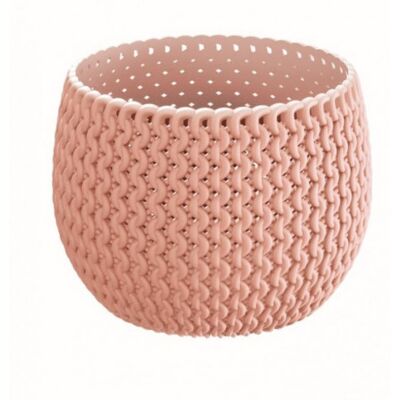Prosperplast SPLOFY Bowl Basic pot de fleurs, 18 cm, 1,4 l, peche, DKSP180N-488U - Publicité Prosperplast SPLOFY Bowl Basic pot de fleurs, 18 cm, 1,4 l, peche, DKSP180N-488U - Publicité