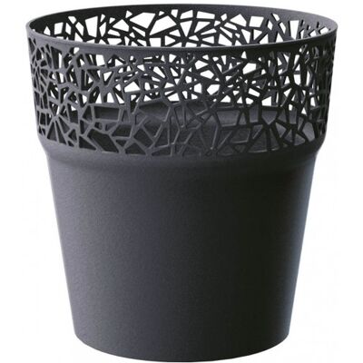 PROSPERPLAST TREE pot de fleurs, 12 cm, anthracite, DTRE120-S433 - Publicité PROSPERPLAST TREE pot de fleurs, 12 cm, anthracite, DTRE120-S433 - Publicité