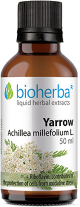 Bioherba Achillée - teinture, 50 ml