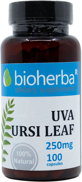 Bioherba Busserole (Uva ursi) 250 mg, 100 gélules