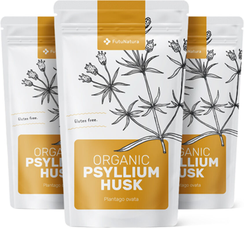 FutuNatura 3x BIO Psyllium - plantain indien - cosses, ensemble 600 g