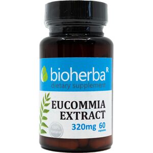 Bioherba Extrait d'eucommia 320 mg, 60 gélules