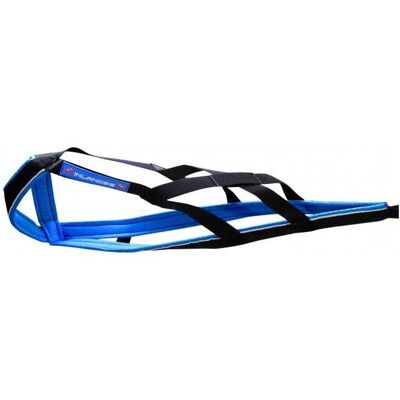 Inlandsis Polar Quest - Harnais pour chien Bleu / Noir M/L - Harnais pour chien - Publicité Inlandsis Polar Quest - Harnais pour chien Bleu / Noir M/L - Harnais pour chien - Publicité
