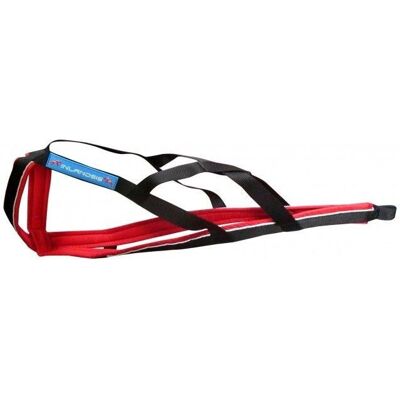 Inlandsis - Polar Quest - Harnais pour chien Red / Black - XS - Publicité Inlandsis - Polar Quest - Harnais pour chien Red / Black - XS - Publicité
